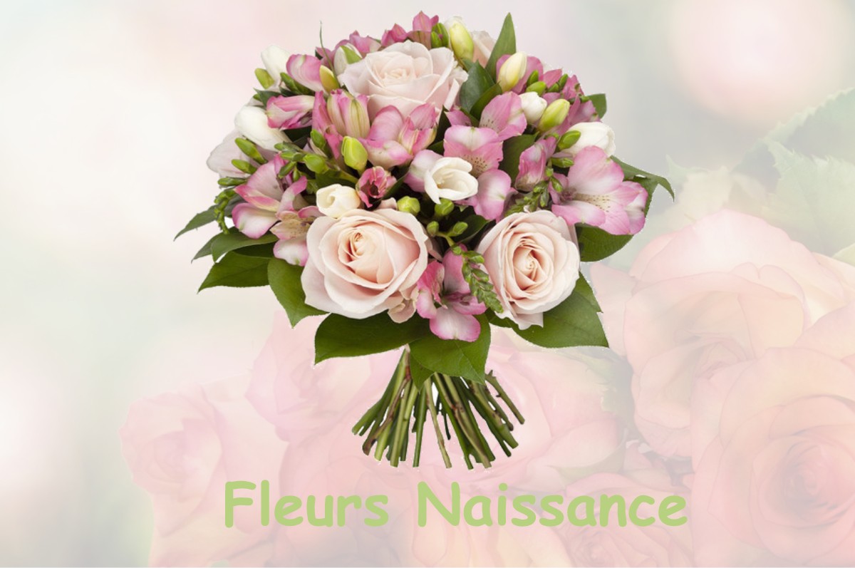 fleurs naissance SULLY-LA-CHAPELLE