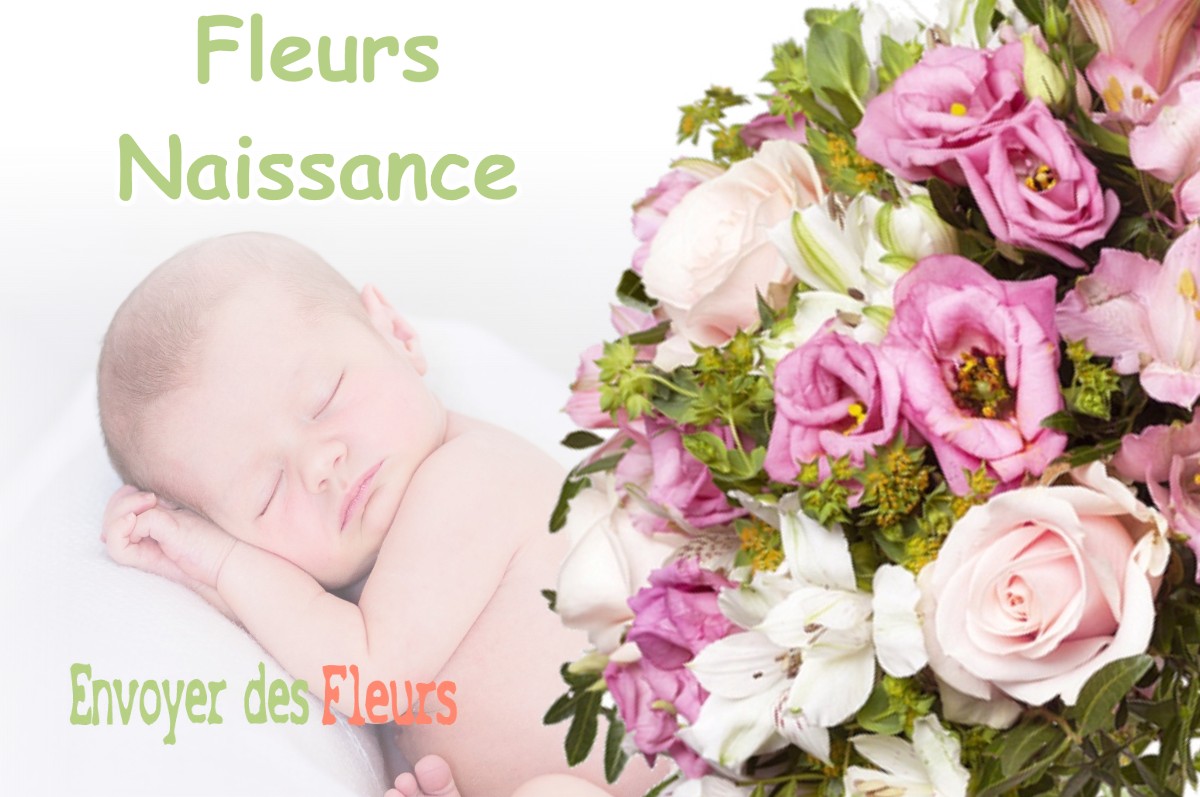 lIVRAISON FLEURS NAISSANCE à SULLY-LA-CHAPELLE